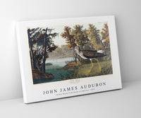 
              John James Audubon - Yellow Shank from Birds of America (1827)
            