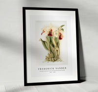 
              Frederick Sander - Cattleya dowiana aurea from Reichenbachia Orchids-1847-1920
            