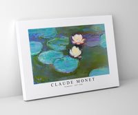 
              Claude Monet - Nympheas 1897-1898
            