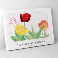 Tanigami Konan - Vintage tulip