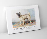 
              Conradijn Cunaues - Portrait of Edwin Vom Rath’s Pug 1880-1895
            