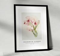 
              Frederick Sander - Cattleya labiata from Reichenbachia Orchids-1847-1920
            