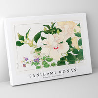 Tanigami Konan - Browallia & Hibiscus flower