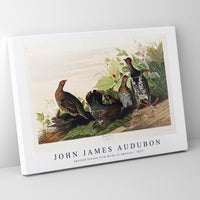 John James Audubon - Spotted Grouse from Birds of America (1827)