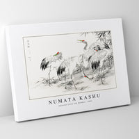 Numata Kashu - Japanese Crane and Bamboo illustration from Pictorial Monograph of Birds (1885)