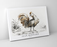 
              Jean Bernard - Rooster
            