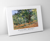 
              Claude Monet - The Bodmer Oak, Fontainebleau Forest 1865
            