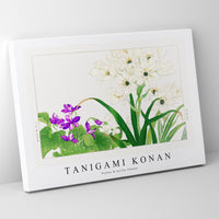 Tanigami Konan - Violet & Scilla flower