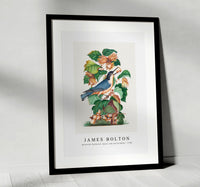 
              James bolton - Beautiful Nuthatch, hazel, oak and bramble 1768
            