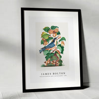 James bolton - Beautiful Nuthatch, hazel, oak and bramble 1768