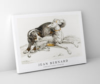 
              Jean Bernard - A dog bites another sitting dog
            