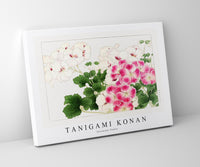 
              Tanigami Konan - Geranium flower
            
