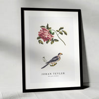 Johan Teyler - Rose and a Parakeet