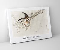
              Ohara Koson - Gray starling in storm (1900 - 1910) by Ohara Koson (1877-1945)
            