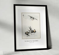 
              Numata Kashu - Swallow illustration from Pictorial Monograph of Birds (1885)
            