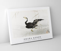 
              Ohara Koson - Japanese cormorant catching fish (1900-1910) by Ohara Koson (1877-1945)
            