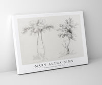
              Mary Altha Nims - Studies of Upas and Maple Trees
            