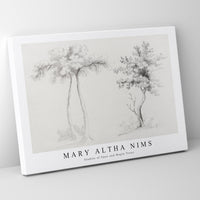 Mary Altha Nims - Studies of Upas and Maple Trees