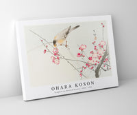 
              Ohara Koson - Songbird on blossom branch (1900 - 1936) by Ohara Koson (1877-1945)
            