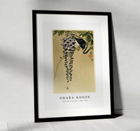 
              Ohara Koson - Flycatcher at wisteria (1900 - 1910) by Ohara Koson (1877-1945)
            