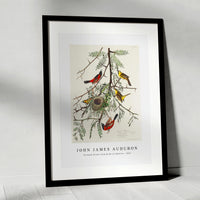 John James Audubon - Orchard Oriole from Birds of America (1827)