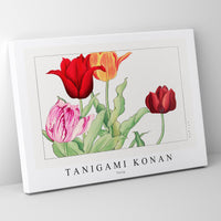 Tanigami Konan - Tulip