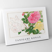 Tanigami Konan - Rose flower