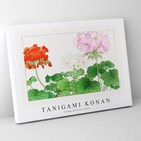 Tanigami Konan - Vintage geranium flower