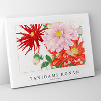 Tanigami Konan - Dahlia flower