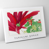 Tanigami Konan - Dracaena & poinsettia