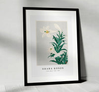 
              Ohara Koson - Lilies, Ohara ( 1920 - 1930) by Ohara Koson (1877-1945)
            