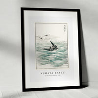 Numata Kashu - Riu Kiu House Swallow illustration from Pictorial Monograph of Birds (1885)