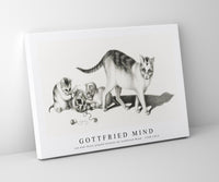 
              Gottfried Mind - cat and three playful kittens by Gottfried Mind (1768-1814)
            
