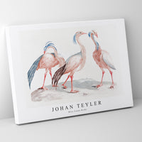 Johan Teyler - Miss Crane Birds