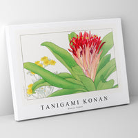 Tanigami Konan - Ananas flower