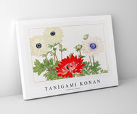 
              Tanigami Konan - Anemone flower
            