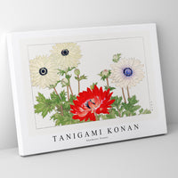 Tanigami Konan - Anemone flower