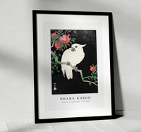 
              Ohara Koson - Cockatoo and Pomegranate by Ohara Koson (1877–1945)
            