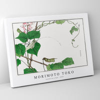 Morimoto Toko - Locust on a leaf illustration from Churui Gafu (1910)