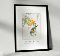 
              Numata Kashu - Grey Starling and Cercidiphyllum Japonicum illustration from Pictorial Monograph of Birds (1885)
            