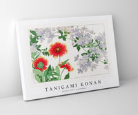 
              Tanigami Konan - Blanket flower & plumbago
            
