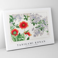 Tanigami Konan - Blanket flower & plumbago
