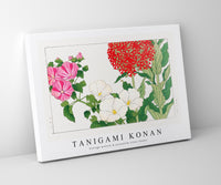 
              Tanigami Konan - Vintage mallow & jerusalem cross flower
            