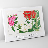 Tanigami Konan - Vintage mallow & jerusalem cross flower