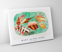
              Mary Altha Nims - Shells in seaweed
            
