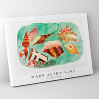 Mary Altha Nims - Shells in seaweed