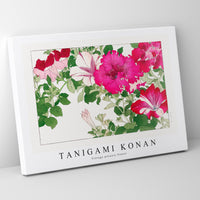 Tanigami Konan - Vintage petunia flower