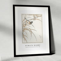 Numata Kashu - Japanese Grey Bunting and Rise Plant illustration from Pictorial Monograph of Birds (1885)