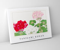 
              Tanigami Konan - Geranium flower
            