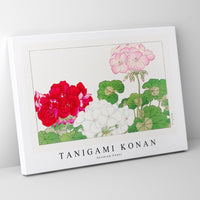 Tanigami Konan - Geranium flower